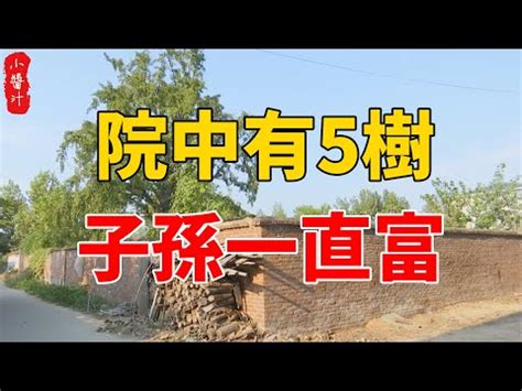 桃樹 風水|【桃花樹風水】桃花樹風水：古代風水禁忌與現代居家桃花指南